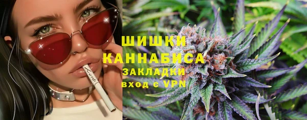 соль ск Верхний Тагил