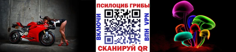 Галлюциногенные грибы Magic Shrooms  Черкесск 